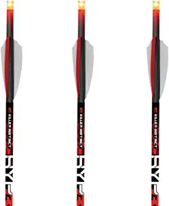 Arrow Precision Frenzy Bowfishing Set